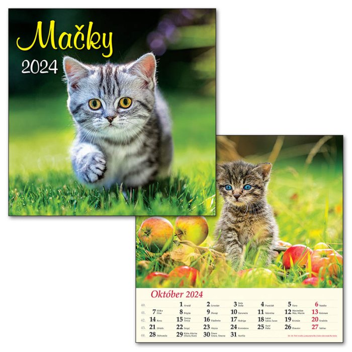 Spektrum Grafik Nástenný kalendár 2024 - Mačky