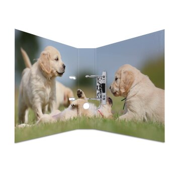HERMA Motivordner "Animals", DIN A4, Hunde