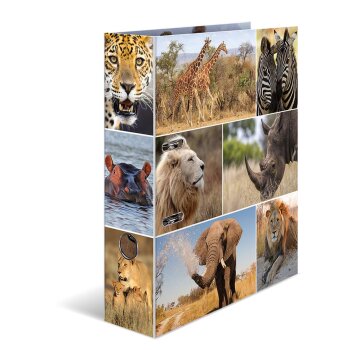 HERMA Motivordner "Animals", DIN A4, Afrika Tiere