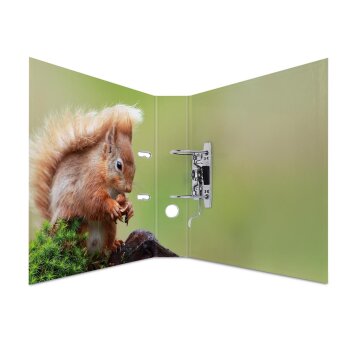 HERMA Motivordner "Animals", DIN A4, Waldtiere
