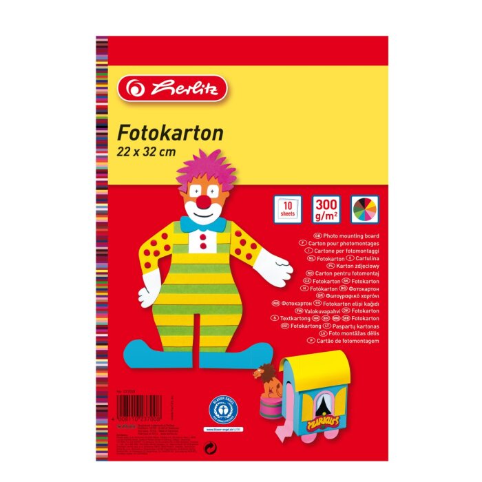 herlitz Fotokarton 22 x 32 cm 10 Blatt farbig sortiert