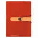 herlitz Fächermappe easy orga to go GREEN, 12 Fächer, orange