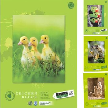 Edition Dürer blok na kreslenie recyklovaný -...