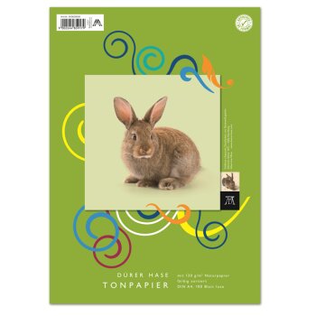 Edition Dürer Tonpapier A4 100 Blatt 130g/qm