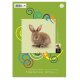 Edition Dürer farebný papier A4 - 100 listov - 130 g/m2