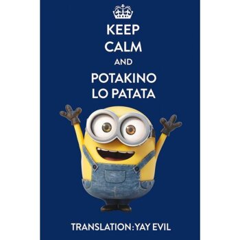MINIONS Fleecová-deka "KEEP CALM AND POTAKINO...