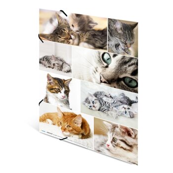 HERMA Eckspannermappe "Katzen", aus Karton, DIN A3