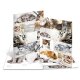 HERMA Eckspannermappe "Katzen", aus Karton, DIN A3