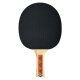DONIC SCHILDKRÖT Tischtennisschläger Champs Line 200 FSC