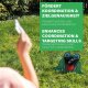 SCHILDKRÖT Hra Nakŕm žabu (Feed The Frog)