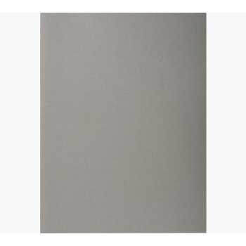 EXACOMPTA Aktendeckel FOREVER 250, DIN A4, grau 100...