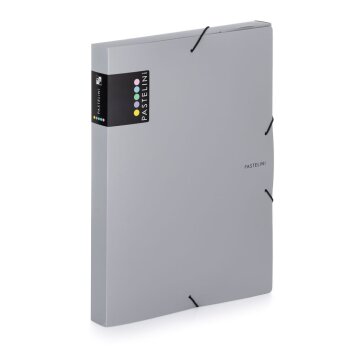 oxybag Sammelbox PP DIN A4 PASTELINI 3,0 cm grey