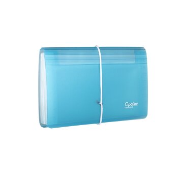 oxybag Organizér DL 13 priehradiek OPALINE...