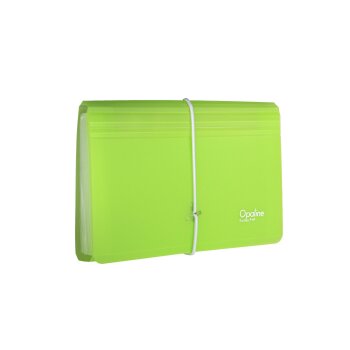 oxybag Organizér na dokumenty DL 13 priehradok...