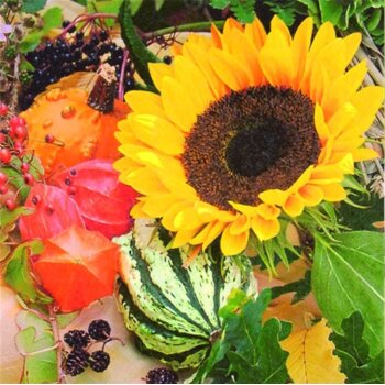 ti-flair Servietten 33 x 33 cm 20 Stück Sonnenblume