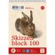 Edition Dürer Skizzenblock A5 100 Blatt