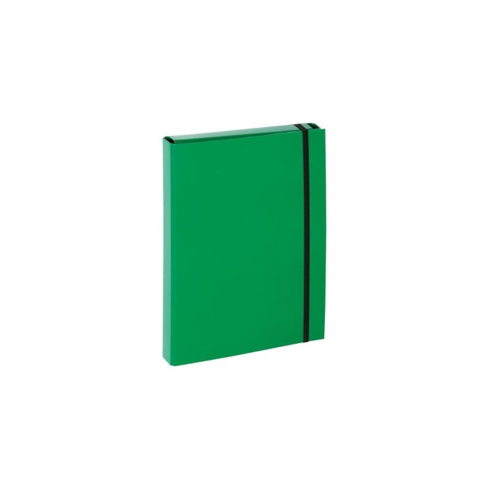 PAGNA box na dokumenty - A4 - zelený