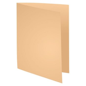 EXACOMPTA Aktendeckel FOREVER 250, DIN A4, chamois 100er