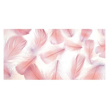 MFP obálka DL 220 × 110 mm Feathers