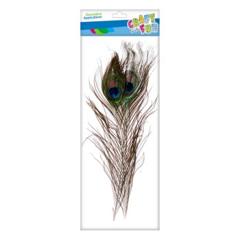 Craft with Fun pávie pierko 32 cm, 2 ks