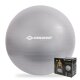SCHILDKRÖT Gymnastikball, Durchmesser: 650 mm, silber