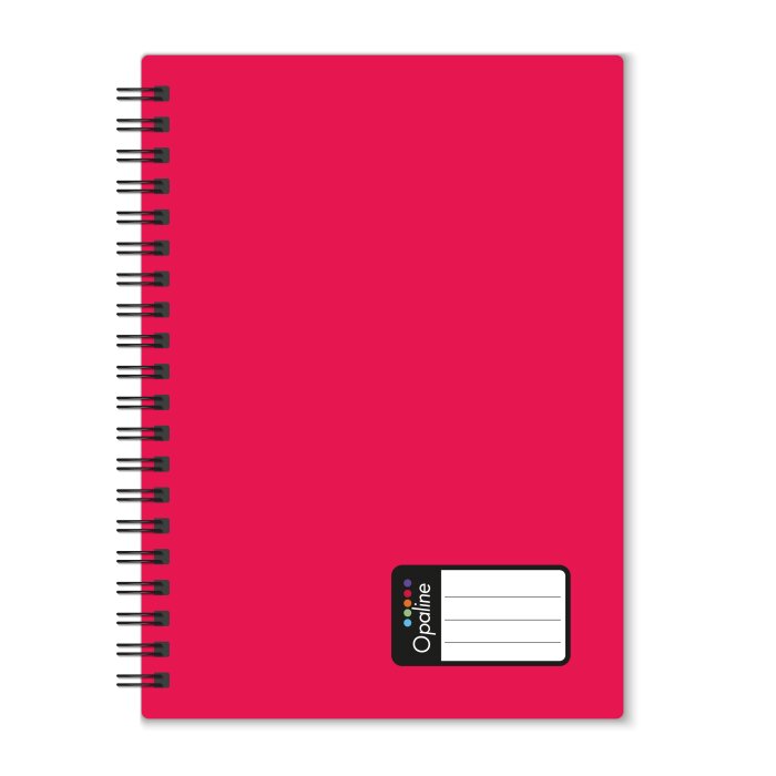 oxybag Collegeblock A4 PP liniert 60 Blatt OPALINE rot