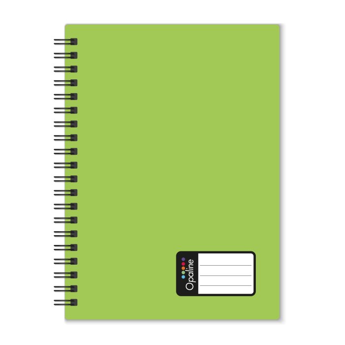 oxybag Collegeblock A5 PP liniert 60 Blatt OPALINE grün